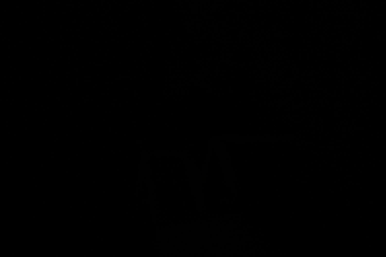 Nashua, NH (Concord) - 2/8/2025