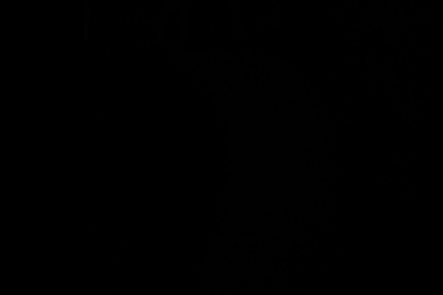 Nashua, NH (Concord) - 2/8/2025