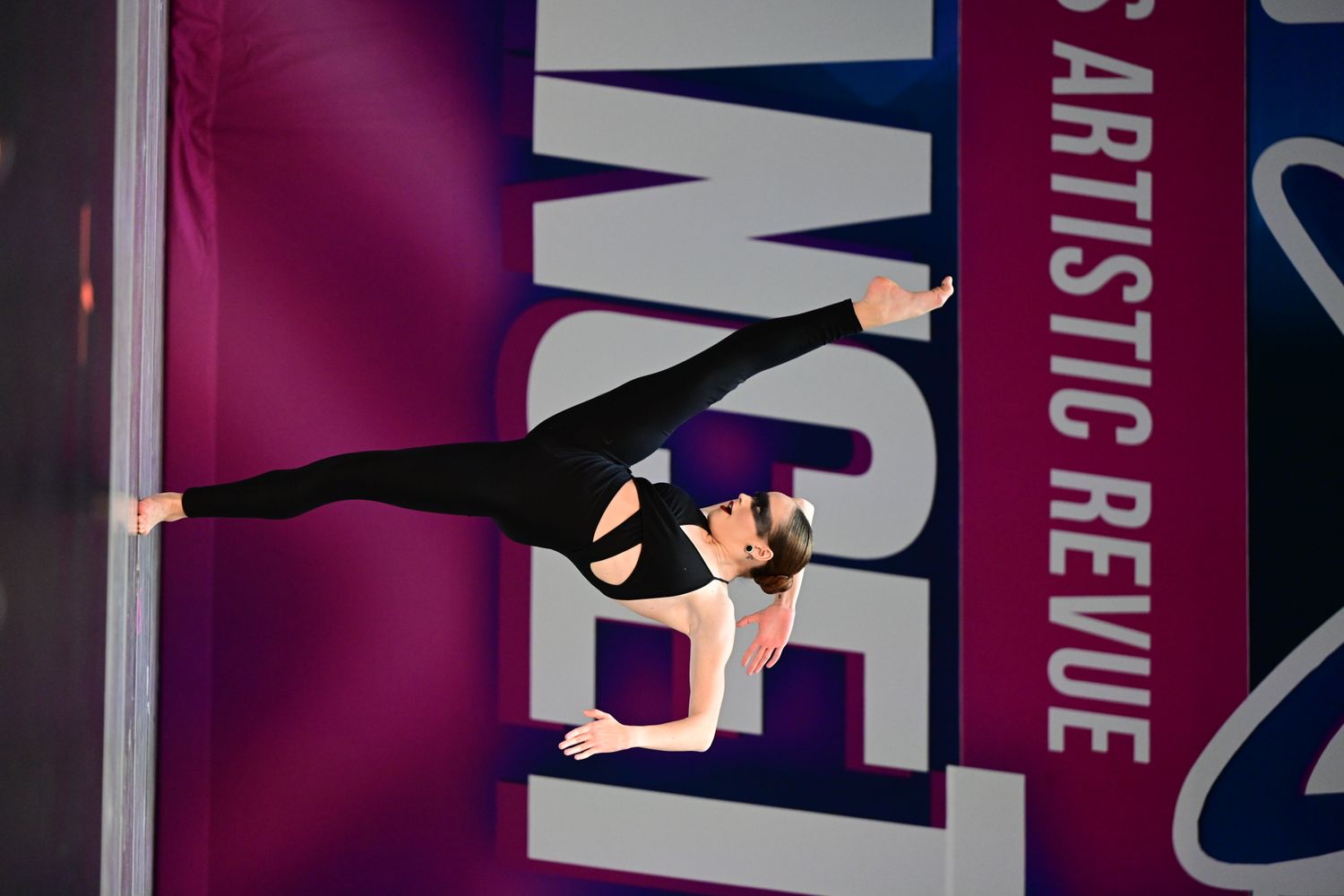 Mesa, AZ - 11/15/2024