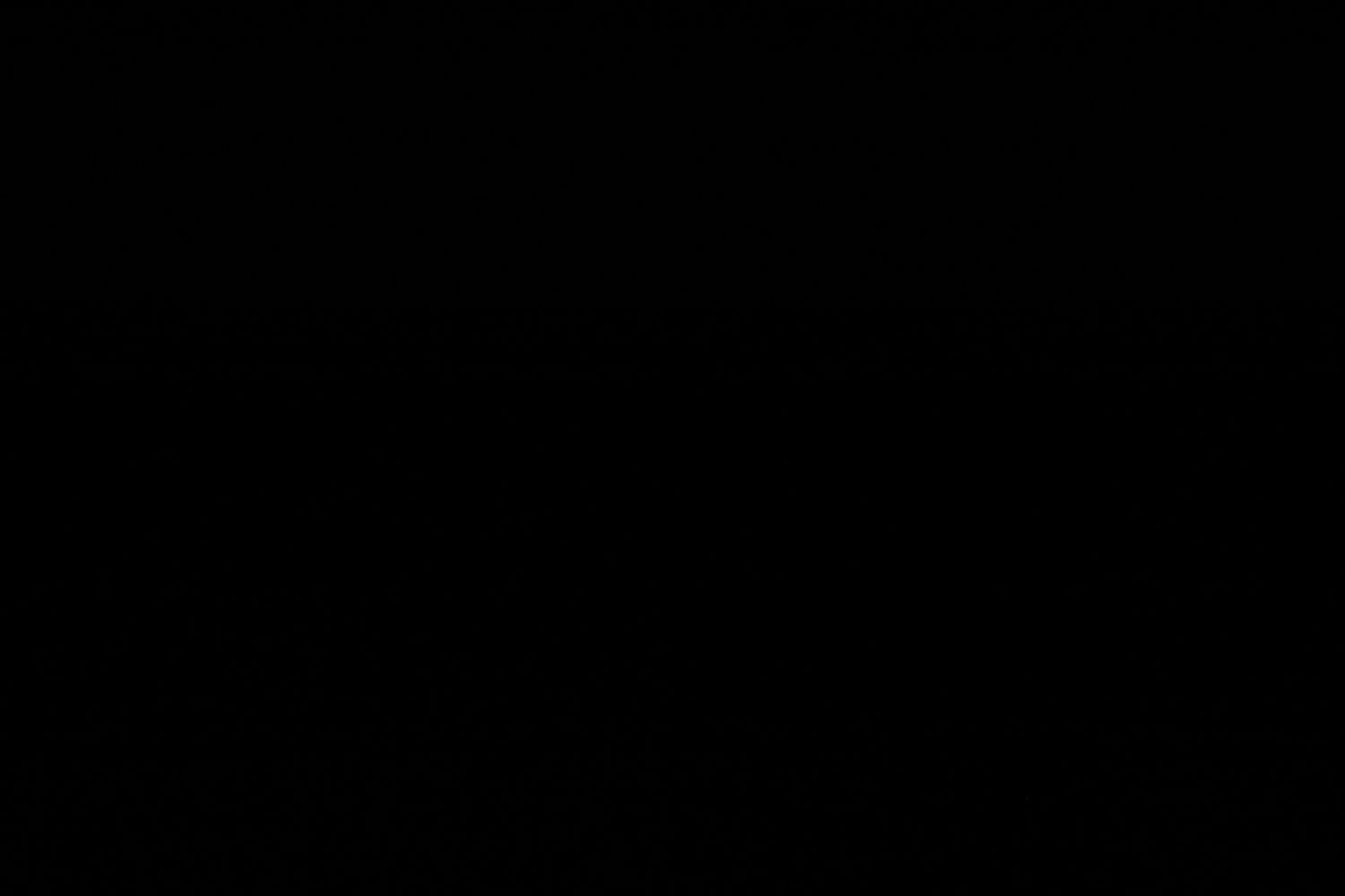 Coeur d'Alene, ID - 2/14/2025