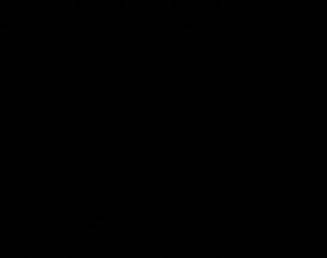 Lowell, MA - 4/9/2026