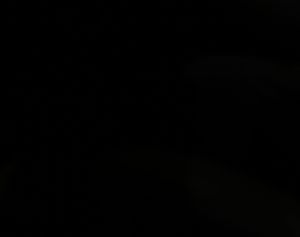 Hayward, CA - 2/13/2026