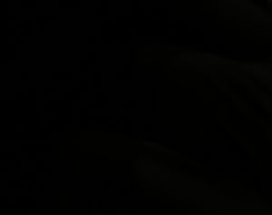 Hayward, CA - 2/13/2026