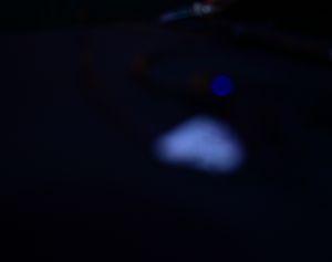 Riverside, CA - Fox Performing Arts Center - 5/29/2026